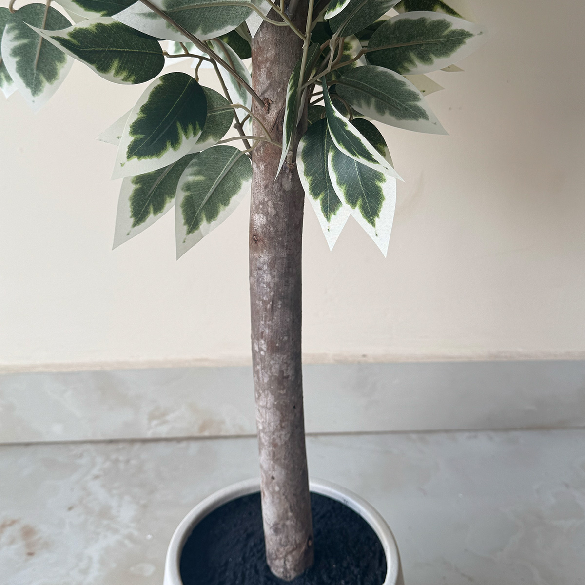 Artificial Variegated Ficus Tree Plant - Image 8